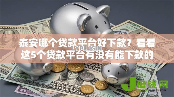 泰安哪个贷款平台好下款？看看这5个贷款平台有没有能下款的