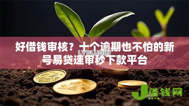 好借钱审核？十个逾期也不怕的新号易贷速审秒下款平台