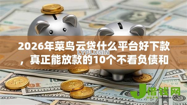 2026年菜鸟云贷什么平台好下款,真正能放款的10个不看负债和征信的app推荐 2026年菜鸟云贷什么平台好下款,真正能放款的10个不看负债和征信的app推荐