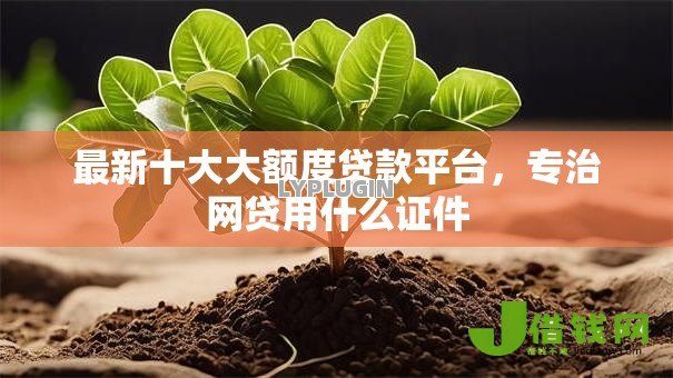 最新十大大额度贷款平台,专治网贷用什么证件 最新十大大额度贷款平台,专治网贷用什么证件
