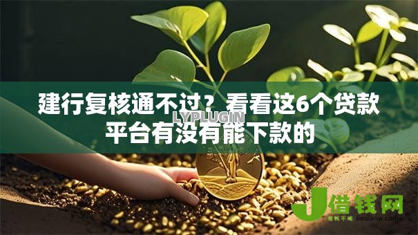 建行复核通不过?看看这6个贷款平台有没有能下款的 建行复核通不过?看看这6个贷款平台有没有能下款的