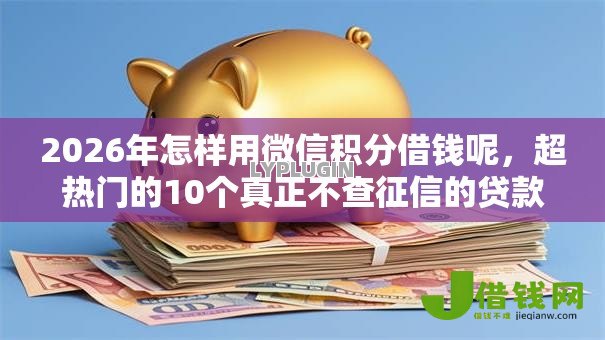 2026年怎样用微信积分借钱呢，超热门的10个真正不查征信的贷款平台推荐