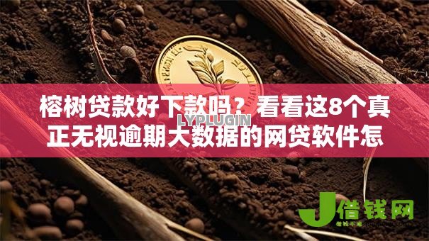 榕树贷款好下款吗?看看这8个真正无视逾期大数据的网贷软件怎么样 榕树贷款好下款吗?看看这8个真正无视逾期大数据的网贷软件怎么样