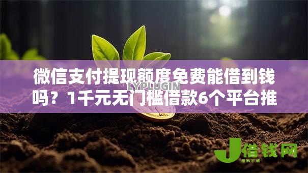 微信支付提现额度免费能借到钱吗?1千元无门槛借款6个平台推荐 微信支付提现额度免费能借到钱吗?1千元无门槛借款6个平台推荐