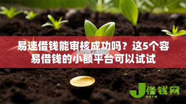 易速借钱能审核成功吗？这5个容易借钱的小额平台可以试试