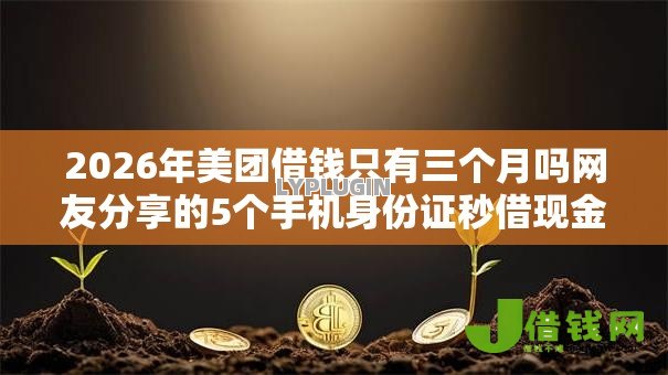 2026年美团借钱只有三个月吗网友分享的5个手机身份证秒借现金的口子我觉得不错! 2026年美团借钱只有三个月吗网友分享的5个手机身份证秒借现金的口子我觉得不错!