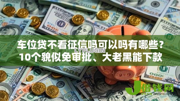 车位贷不看征信吗可以吗有哪些?10个貌似免审批、大老黑能下款的口子合集 车位贷不看征信吗可以吗有哪些?10个貌似免审批、大老黑能下款的口子合集