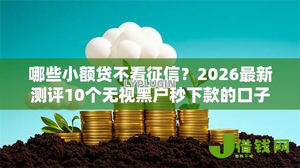 哪些小额贷不看征信?2026最新测评10个无视黑户秒下款的口子 哪些小额贷不看征信?2026最新测评10个无视黑户秒下款的口子