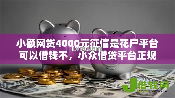 小额网贷4000元征信是花户平台可以借钱不，小众借贷平台正规吗的6个平台介绍