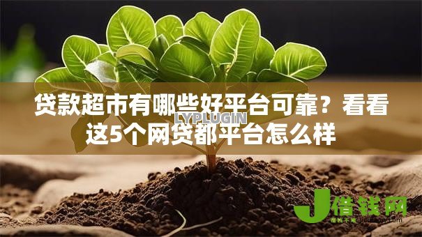 贷款超市有哪些好平台可靠?看看这5个网贷都平台怎么样 贷款超市有哪些好平台可靠?看看这5个网贷都平台怎么样