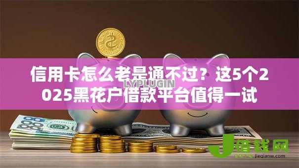 信用卡怎么老是通不过?这5个2025黑花户借款平台值得一试 信用卡怎么老是通不过?这5个2025黑花户借款平台值得一试