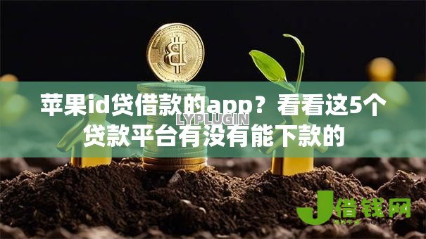 苹果id贷借款的app？看看这5个贷款平台有没有能下款的