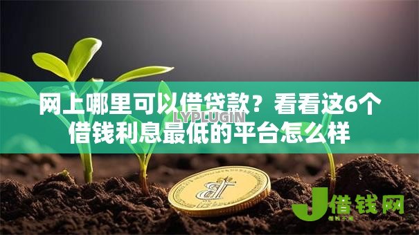 网上哪里可以借贷款?看看这6个借钱利息最低的平台怎么样 网上哪里可以借贷款?看看这6个借钱利息最低的平台怎么样