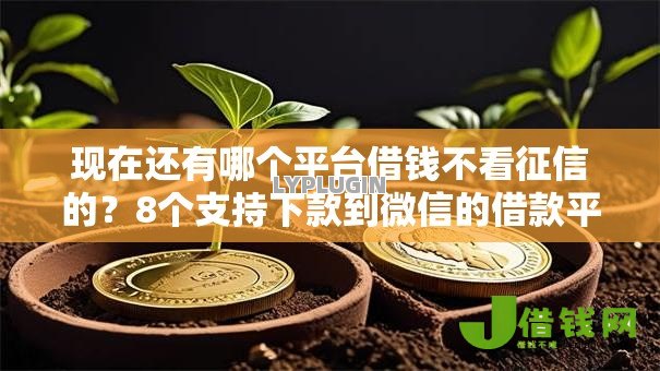 现在还有哪个平台借钱不看征信的?8个支持下款到微信的借款平台最安全可靠利息低 现在还有哪个平台借钱不看征信的?8个支持下款到微信的借款平台最安全可靠利息低