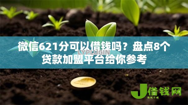 微信621分可以借钱吗？盘点8个贷款加盟平台给你参考