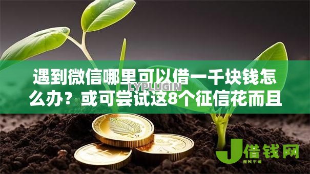 遇到微信哪里可以借一千块钱怎么办？或可尝试这8个征信花而且其他软件借不出钱了还可以借到钱100%通过的平台