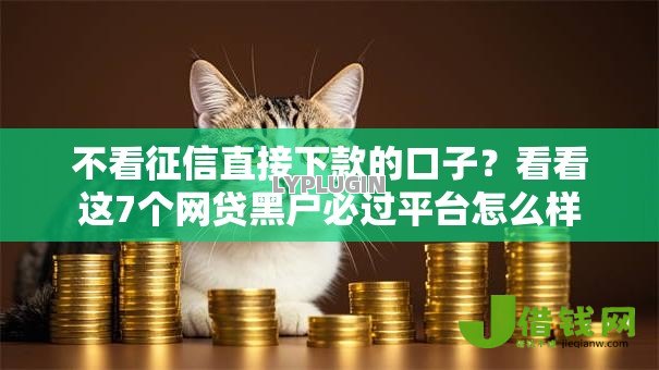 不看征信直接下款的口子?看看这7个网贷黑户必过平台怎么样 不看征信直接下款的口子?看看这7个网贷黑户必过平台怎么样
