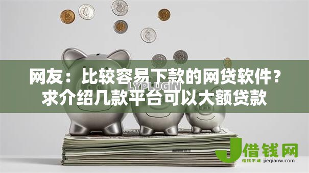 网友：比较容易下款的网贷软件？求介绍几款平台可以大额贷款