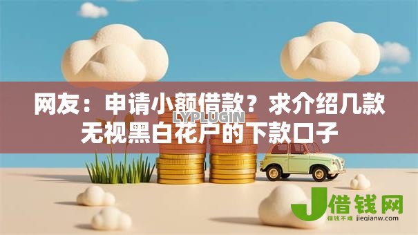 网友：申请小额借款？求介绍几款无视黑白花户的下款口子
