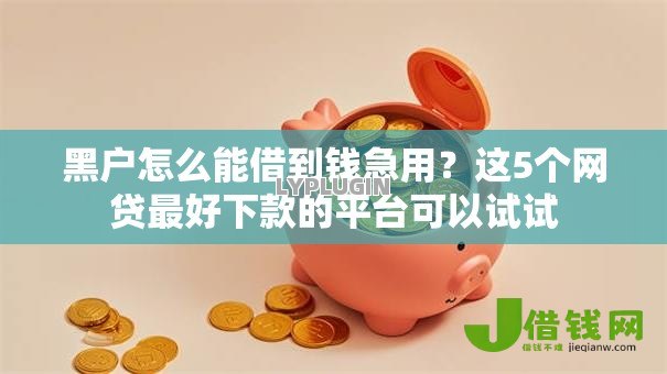 黑户怎么能借到钱急用？这5个网贷最好下款的平台可以试试