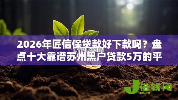 2026年匠信保贷款好下款吗?盘点十大靠谱苏州黑户贷款5万的平台 2026年匠信保贷款好下款吗?盘点十大靠谱苏州黑户贷款5万的平台