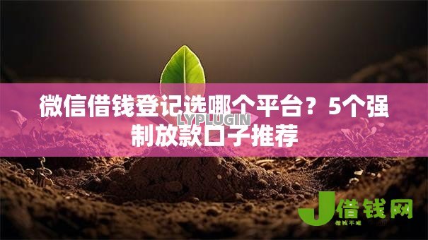 微信借钱登记选哪个平台？5个强制放款口子推荐
