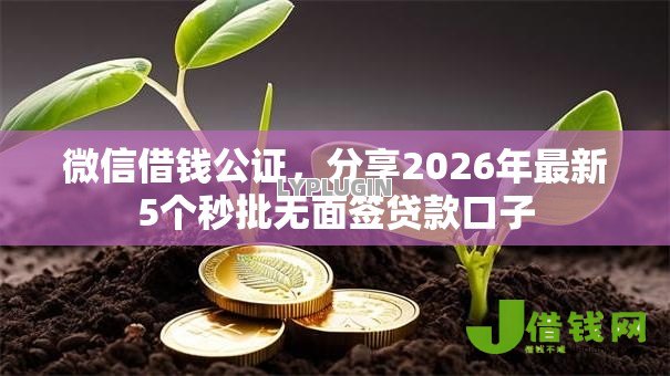 微信借钱公证,分享2026年最新5个秒批无面签贷款口子 微信借钱公证,分享2026年最新5个秒批无面签贷款口子
