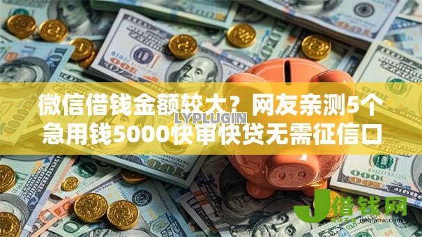 微信借钱金额较大？网友亲测5个急用钱5000快审快贷无需征信口子盘点