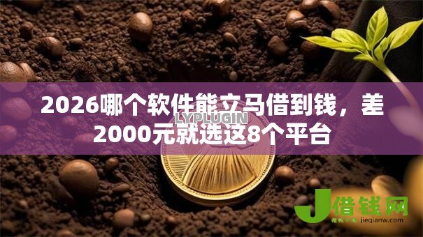 2026哪个软件能立马借到钱，差2000元就选这8个平台