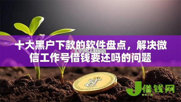 十大黑户下款的软件盘点,解决微信工作号借钱要还吗的问题 十大黑户下款的软件盘点,解决微信工作号借钱要还吗的问题