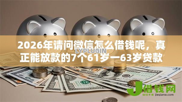 2026年请问微信怎么借钱呢，真正能放款的7个61岁一63岁贷款平台推荐