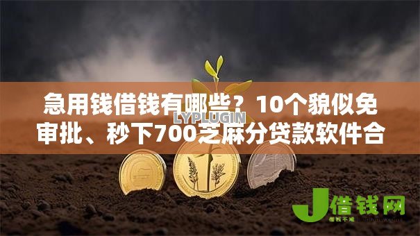 急用钱借钱有哪些?10个貌似免审批、秒下700芝麻分贷款软件合集 急用钱借钱有哪些?10个貌似免审批、秒下700芝麻分贷款软件合集