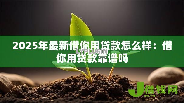 2025年最新借你用贷款怎么样:借你用贷款靠谱吗 2025年最新借你用贷款怎么样:借你用贷款靠谱吗