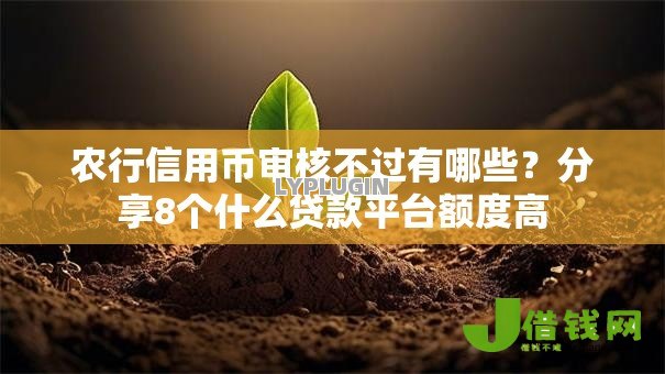农行信用币审核不过有哪些？分享8个什么贷款平台额度高