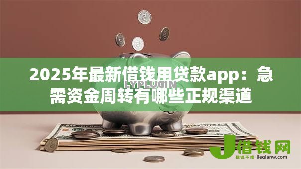 2025年最新借钱用贷款app:急需资金周转有哪些正规渠道 2025年最新借钱用贷款app:急需资金周转有哪些正规渠道