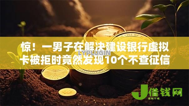 惊！一男子在解决建设银行虚拟卡被拒时竟然发现10个不查征信的网络贷款平台，事后分享了出来