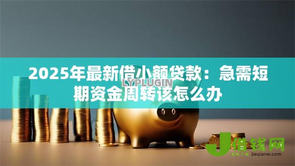 2025年最新借小额贷款:急需短期资金周转该怎么办 2025年最新借小额贷款:急需短期资金周转该怎么办