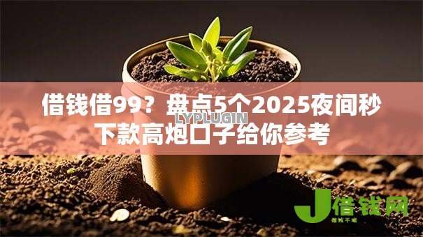 借钱借99?盘点5个2025夜间秒下款高炮口子给你参考 借钱借99?盘点5个2025夜间秒下款高炮口子给你参考
