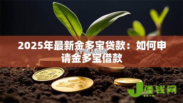 2025年最新金多宝贷款：如何申请金多宝借款