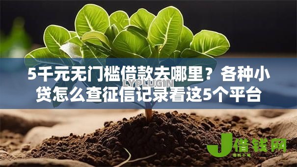 5千元无门槛借款去哪里?各种小贷怎么查征信记录看这5个平台 5千元无门槛借款去哪里?各种小贷怎么查征信记录看这5个平台