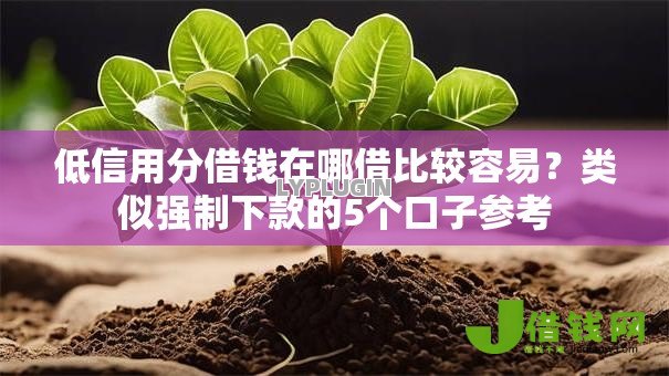 低信用分借钱在哪借比较容易?类似强制下款的5个口子参考 低信用分借钱在哪借比较容易?类似强制下款的5个口子参考