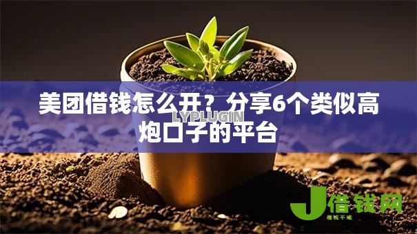 美团借钱怎么开?分享6个类似高炮口子的平台 美团借钱怎么开?分享6个类似高炮口子的平台