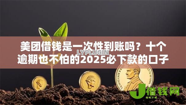 美团借钱是一次性到账吗?十个逾期也不怕的2025必下款的口子 美团借钱是一次性到账吗?十个逾期也不怕的2025必下款的口子
