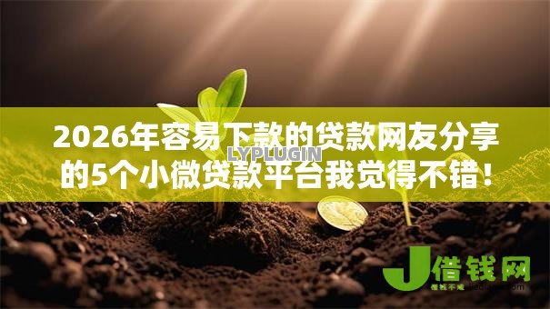 2026年容易下款的贷款网友分享的5个小微贷款平台我觉得不错! 2026年容易下款的贷款网友分享的5个小微贷款平台我觉得不错!