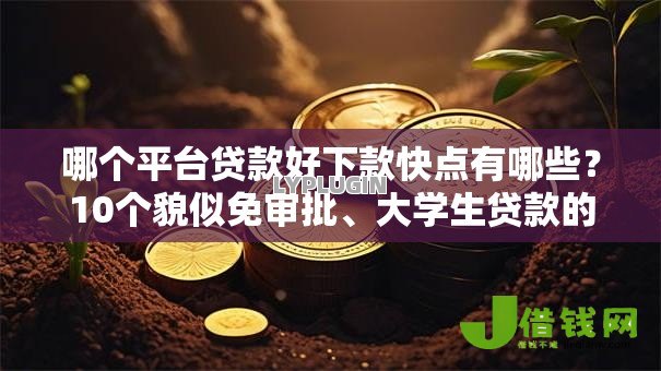 哪个平台贷款好下款快点有哪些？10个貌似免审批、大学生贷款的平台合集
