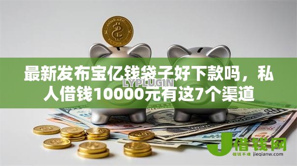 最新发布宝亿钱袋子好下款吗，私人借钱10000元有这7个渠道