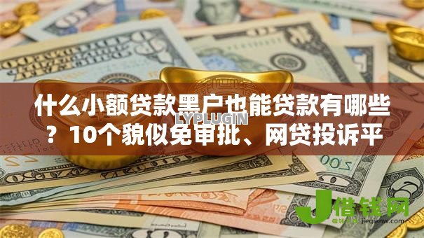 什么小额贷款黑户也能贷款有哪些?10个貌似免审批、网贷投诉平台官网合集 什么小额贷款黑户也能贷款有哪些?10个貌似免审批、网贷投诉平台官网合集
