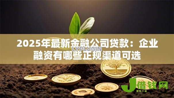 2025年最新金融公司贷款:企业融资有哪些正规渠道可选 2025年最新金融公司贷款:企业融资有哪些正规渠道可选