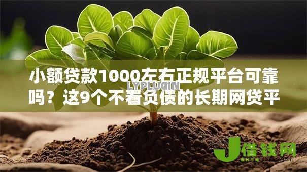小额贷款1000左右正规平台可靠吗？这9个不看负债的长期网贷平台值得一试