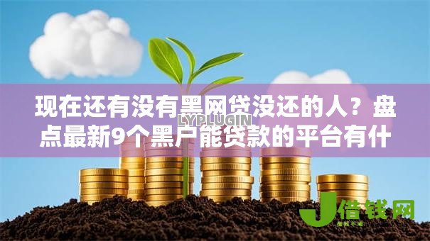 现在还有没有黑网贷没还的人?盘点最新9个黑户能贷款的平台有什么 现在还有没有黑网贷没还的人?盘点最新9个黑户能贷款的平台有什么
